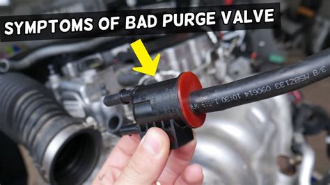 evaporative canister purge solenoid|5 Signs of a Bad Vapor Canister Purge Valve